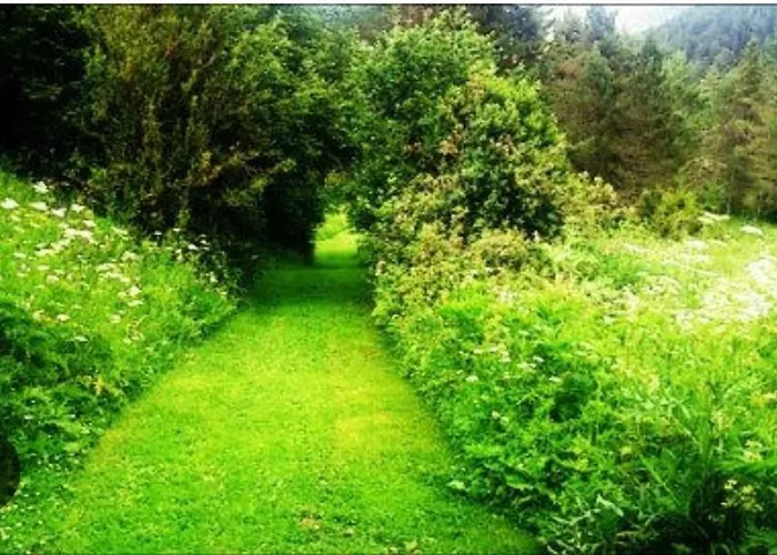 Roc Blanc Alp